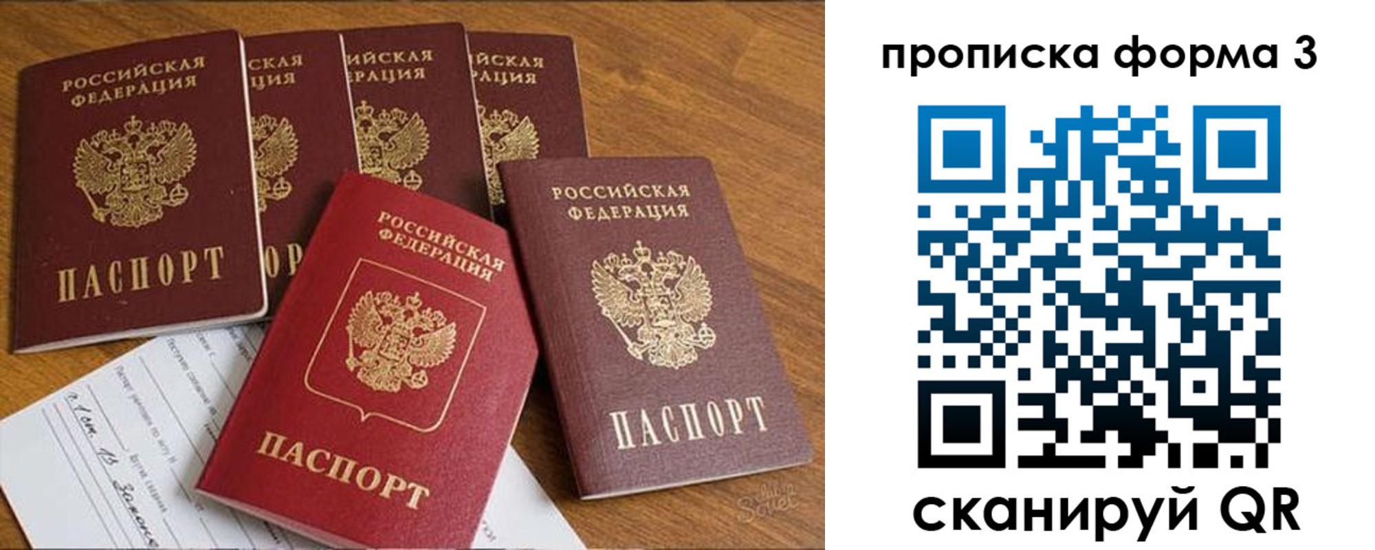 прописка 2025 в Курской области